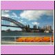 Sydney Harbour Bridge & Opera