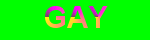 gay