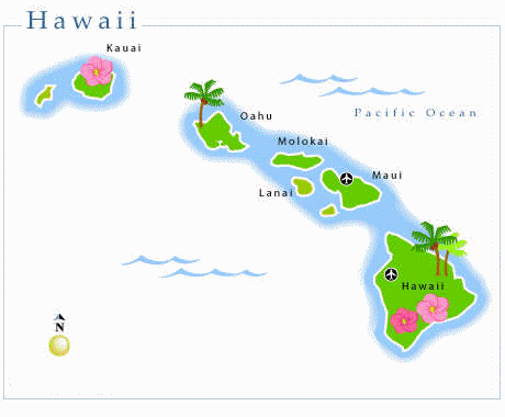 HawaiAnimatie