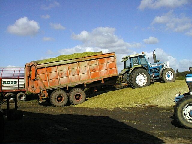 Leugenboomoktober2002