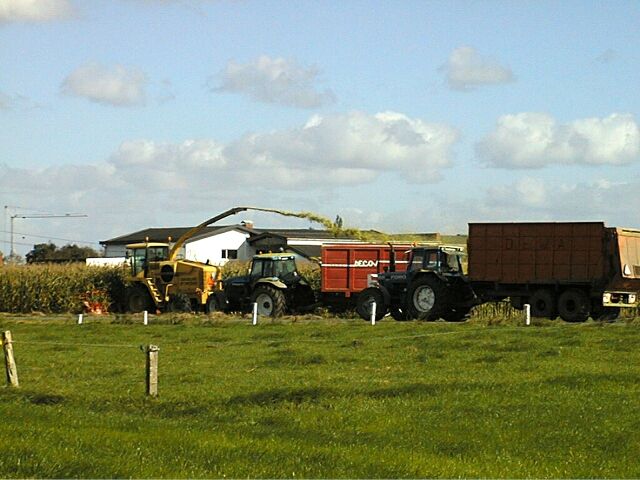 Leugenboomoktober2002