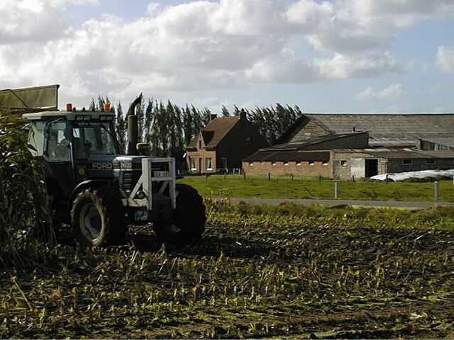 Leugenboomoktober2002