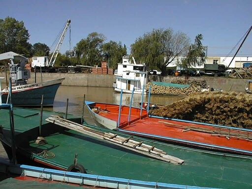 Tigre bij Buenos Aires, Argentina